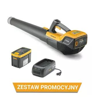 Zestaw promocyjny Dmuchawa akumulatorowa BL 500e 2.0 Ah